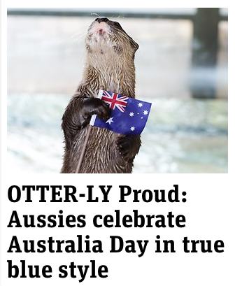 australian otters news.com.au