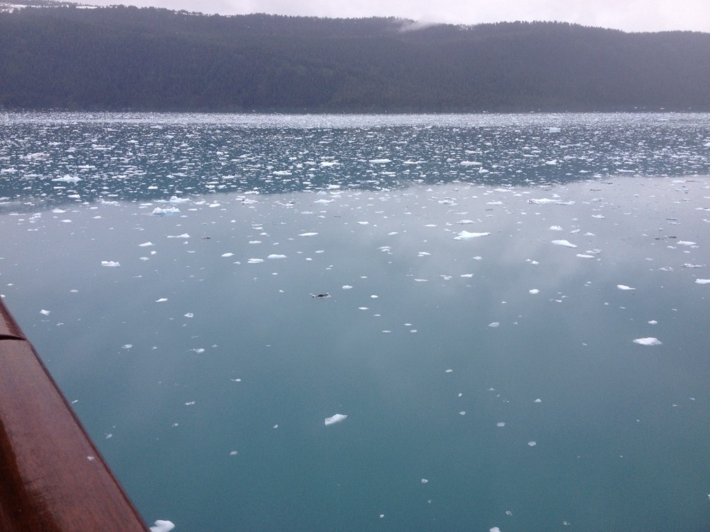 floating ice 1