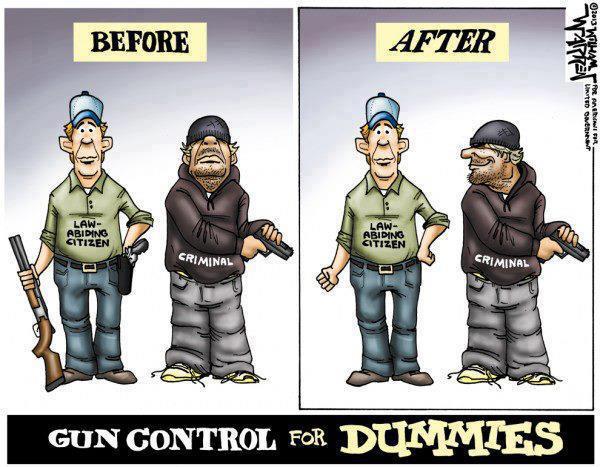 disarming US citizens defenceless gun control for dummies