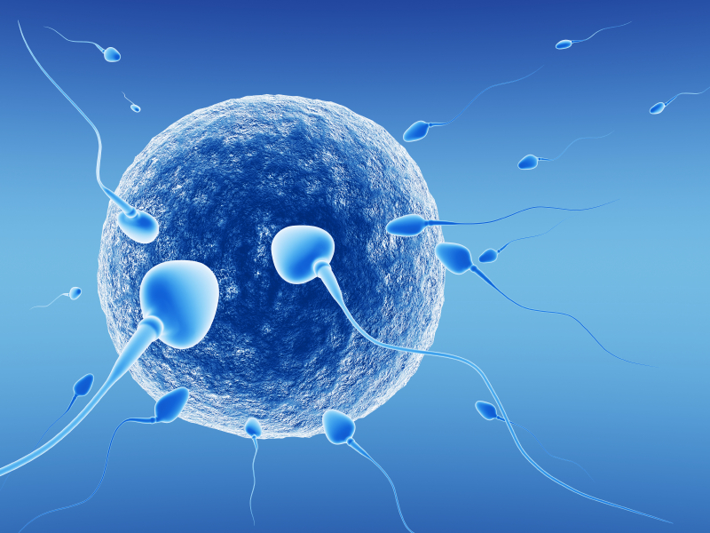 ivf procedure sperm required unable to produce fertilization