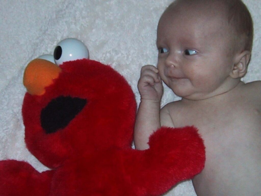 size comparison with a tickle me elmo