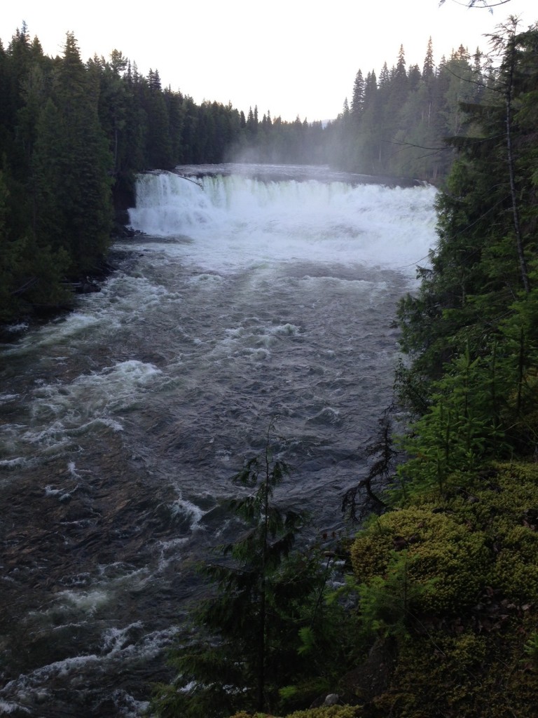 Dawson Falls 1