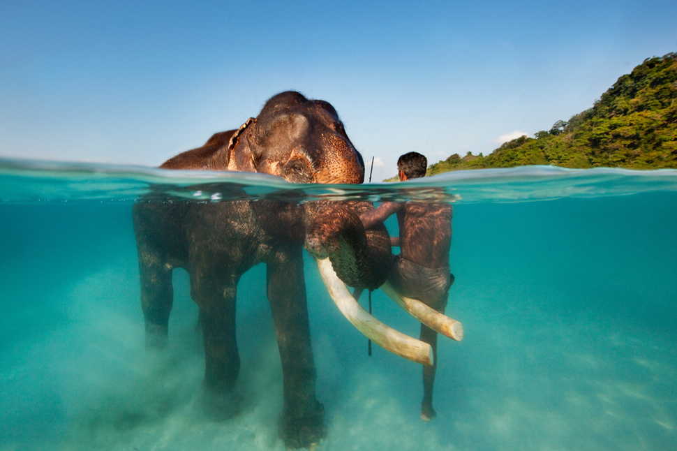 Underwater Andaman Is India