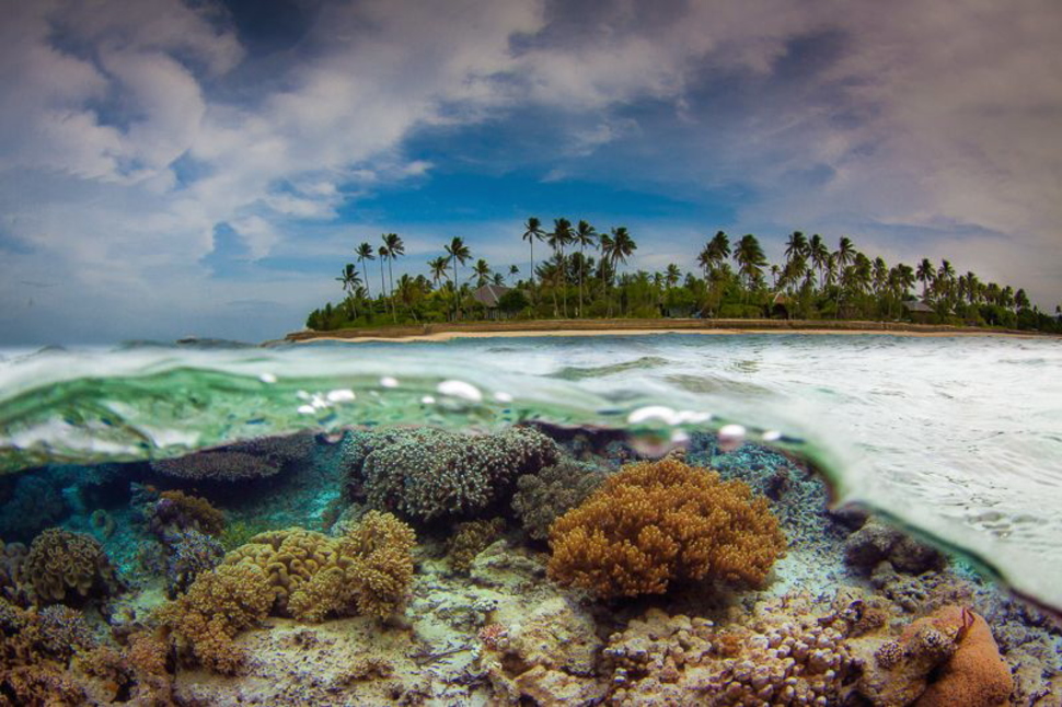 Underwater Flores Sea Indonesia